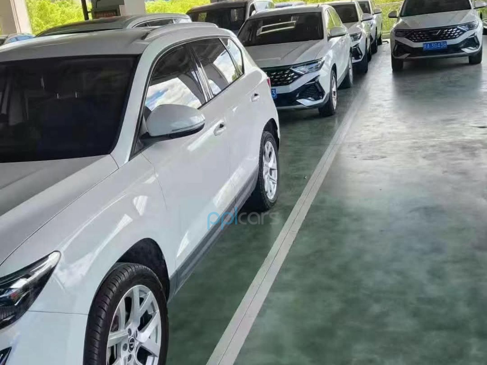 Make Jetta