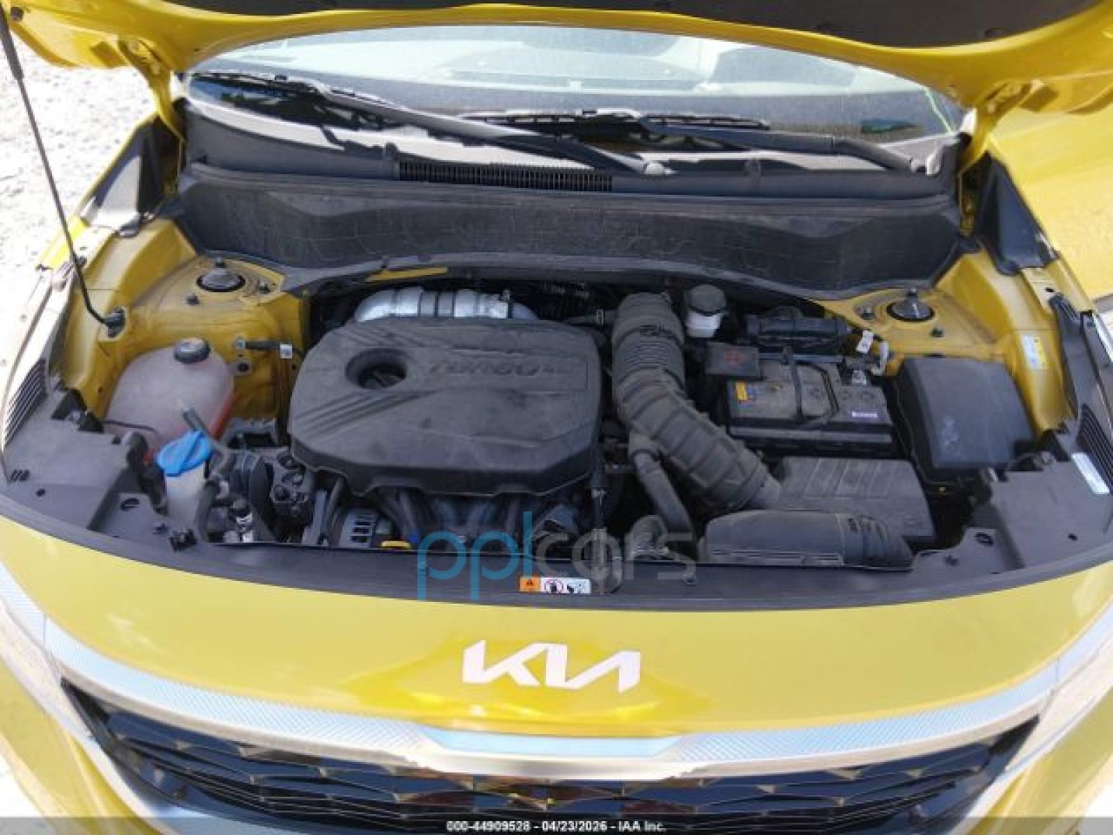 Make Kia
